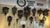 Cuckoo Clocks