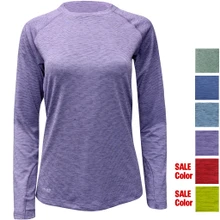 Aster Purple