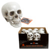 SKULL HEAD PLASTIC HALLOWEEN DECOR 4IN EA W/ HANGTAG IN 24PC COUNTER DISPLAY