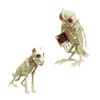SKELETON ANIMAL JUMBO LIGHT-UP EYES 13IN OWL/12.5IN DOG HLWN HT