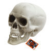 SKULL HEAD DECOR W/MOVABLE MOUTH PLASTIC 8.6 X 6.3 X 6.7IN EA/HLWN HANGTAG