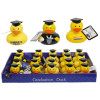 GRADUATION PVC DUCK 4AST IN 24PC PDQ