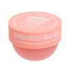 BODY SCRUB 6OZ HAWAIIAN HIBISCUS SOL