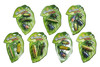 INSECT WINDOW CREEPERS 2/3/4PC SETS ON LEAF SHAPED BACKER CARD