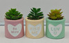 SUCCULENT FAUX VALENTIN 3ASST CONVERSATION HEART ROUND CEMENT POT/TRAY DISPLAY/LABEL