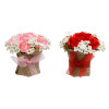 ROSE FLORAL ARRANGEMENT IN BURLAP WRAPPED POT 2AST COLORS 5IN VAL/HT