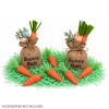 TABLE DECOR EASTER BUNNY BAIT 2AST BAG O CARROTS OR EGGS/HT