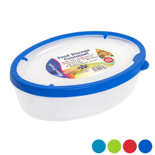 FOOD STORAGE CONTAINER OVAL RUBBER RIM ON LID 800ML