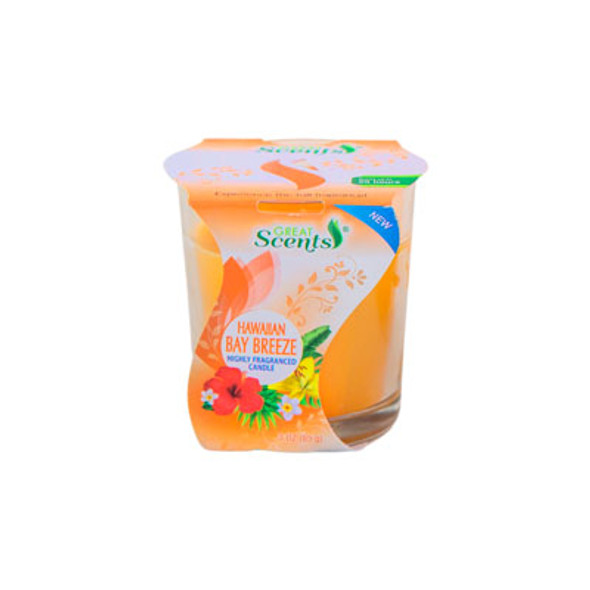 CANDLE 3OZ HAWAIIAN BAY BREEZE GREAT SCENTS