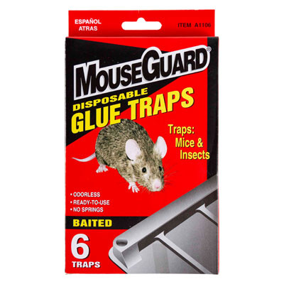 MOUSE GLUE TRAPS 6PK MOUSEGARD BOXED/PEGGABLE BILINGUAL