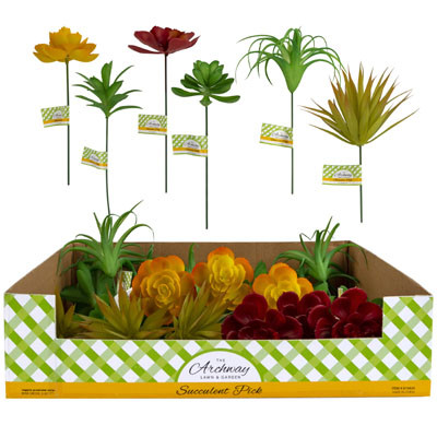 SUCCULENT PICK 6AST IN 48PC PDQ 8INL BARBELL/PEEL LABEL