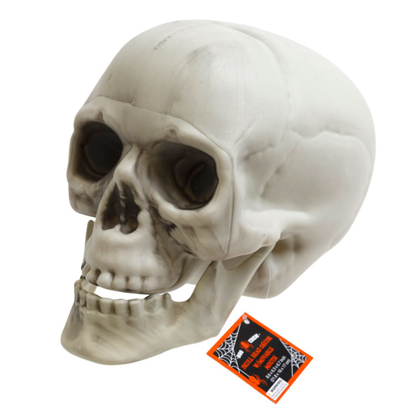 SKULL HEAD DECOR W/MOVABLE MOUTH PLASTIC 8.6 X 6.3 X 6.7IN EA/HLWN HANGTAG