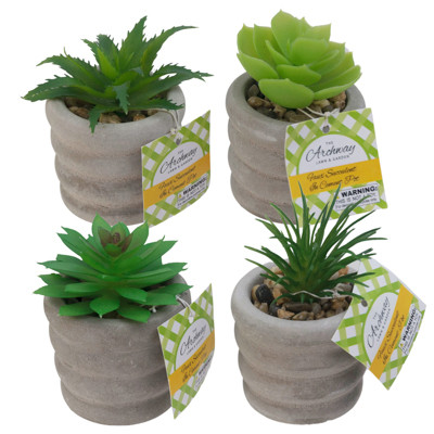 FAUX SUCCULENT 4 ASST IN RND CEMENT POT W/ PEBBLE ACCENT IN 24PC CORRUG DISP TRAY