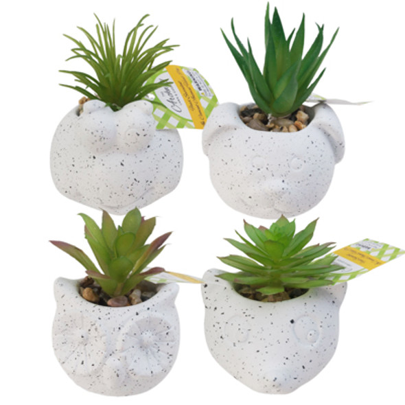 FAUX SUCCULENT IN CEMENT ANIMAL HEAD POT W/ PEBBLE ACCENT IN 24PC CORRUG DISP TRAY