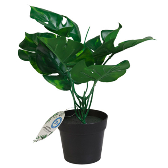 MONSTERA ARTIFICIAL PLANT 10 INCH (H) PP $5.99