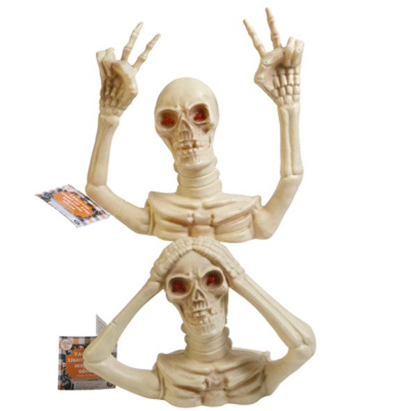 SKELETON UPPER TORSO LIGHTUP EYES W/ FUNNY EXPRESSION 3 XLR41 BATT INC/ 2 AST/ 7IN/ HLWN HT SKELETON UPPER TORSO LIGHTUP EYES W/ FUNNY EXPRESSION 3 XLR41 BATT INC/ 2 AST/ 7IN/ HLWN HT