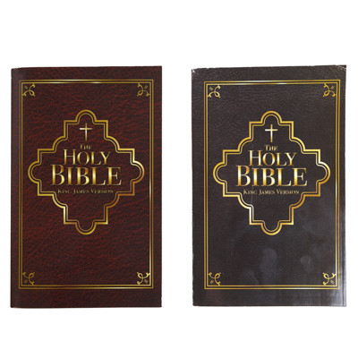 HOLY BIBLE KING JAMES VERSION 384 RANDOM OR SOLID TO THE CASE
