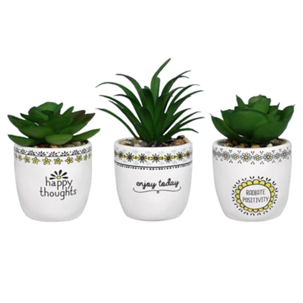 SUCCULENT 3PC SET HANDMADE POTS WHITE CERAMIC