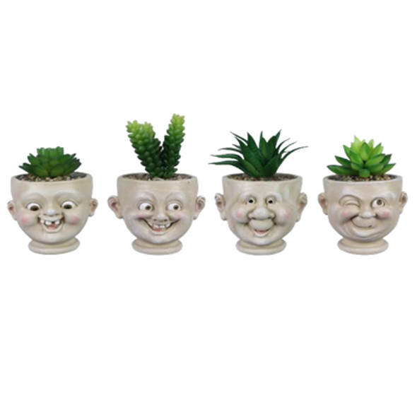 SUCCULENT PLANTER 4AST 4.8X4.53X7.68 GOOFY FACE  RESIN