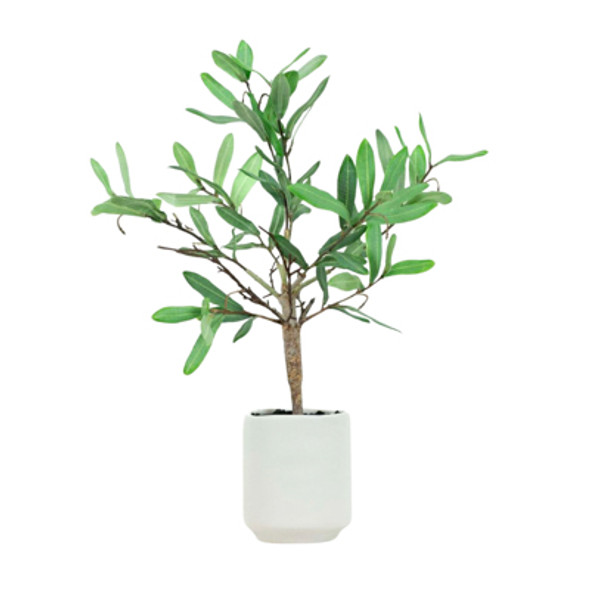 ARTIFICAL OLLIE OLIVE TREE 18IN POTTERY WHITE (24.00)