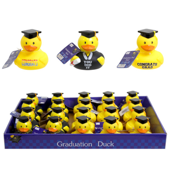 GRADUATION PVC DUCK 4AST IN 24PC PDQ