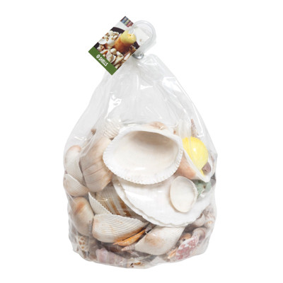 SHELLS 3LB DECORATIVE ASSORTED AKASHA PVC BAG