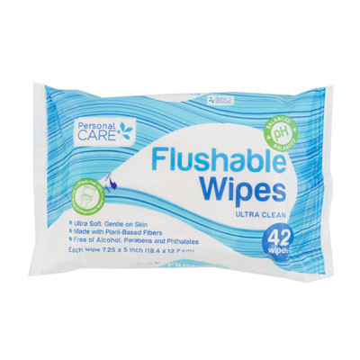 WIPES 42CT FLUSHABLE 2-6PC COUNTER DISPLAY