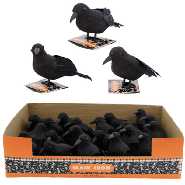 CROW BLACK GLITTER W/FEATHER TAIL 3AST 5.5/6.8IN 36PC PDQ HLWN TCD
