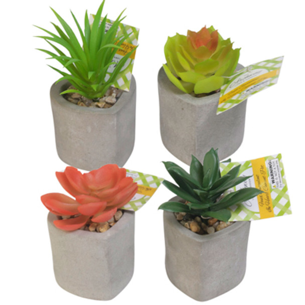 FAUX SUCCULENT 4 ASST IN HEART CEMENT POT W/ PEBBLE ACCENT IN 24PC CORRUG TRAY DISP