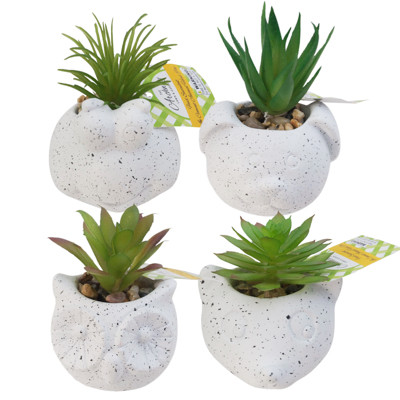 SUCCULENT FAUX IN CEMENT ANIMAL HEAD POT W/ PEBBLE ACCENT IN 24PC CORRUG DISP TRAY