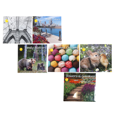 CALENDAR WALL 2027/16 MONTH 6AST PDQ W/BONUS STICKERS