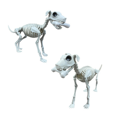 SKELETON ANIMAL DOG W/BONE 11.5IN H X 21IN L HLWN/HT