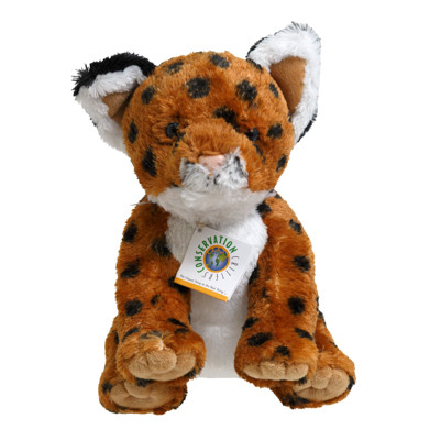 PLUSH 11IN COUGAR CUB (12.00)