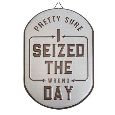 WALL DECOR SIGN 9.8X14.7 SEIZED THE WRONG DAY METAL HANGING