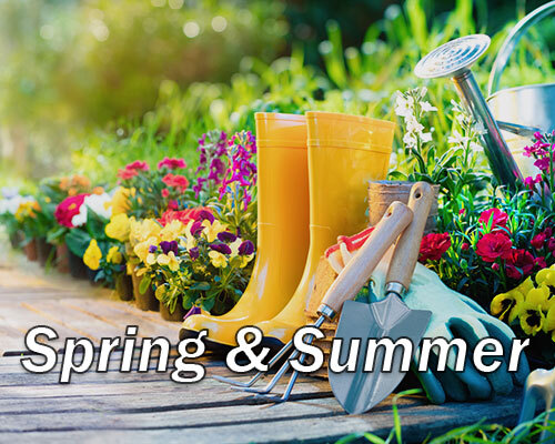 Spring & Summer Merchandise