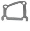 GUARNIZIONE ALLOGGIO TERMOSTATO 300TDI