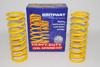 COPPIA MOLLE POSTERIORI +4CM CARICO MEDIO D2