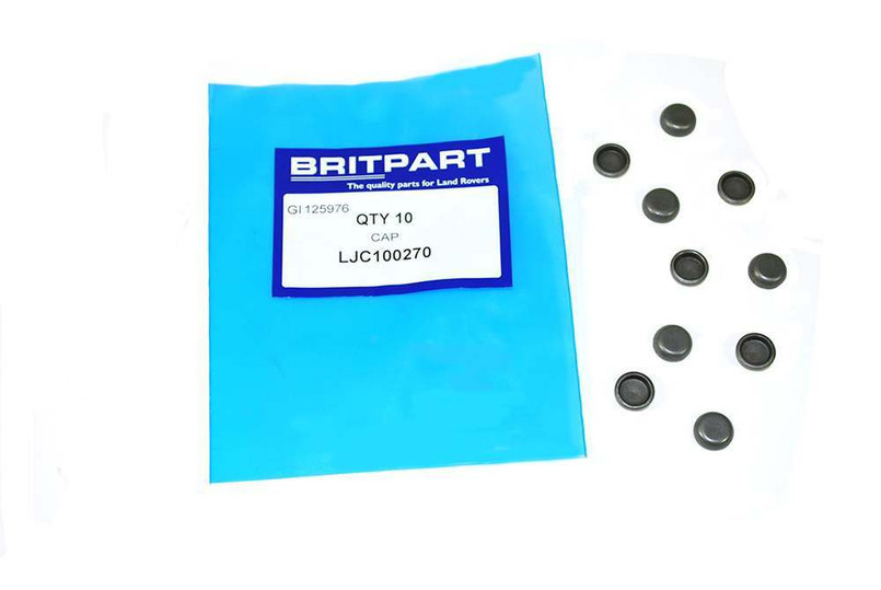 PASTIGLIA VALVOLA TD/200TDI/300TDI