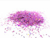 Glitter Hippo® Holographic Sprinkle Glitter - Sticky Sweet - purply pink orchid lilac Holo Glitter