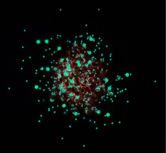 Groovy Glow Chunky Mix - Free Spirit