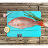 Toadfish 1054 Stowaway Folding Cutting Board with Fish