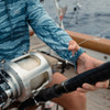 1015262002 Pelagic Vaportek Wahoo Camo Fishing Shirt - Petrol