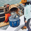 Yeti Hopper M30 Tote Soft Cooler