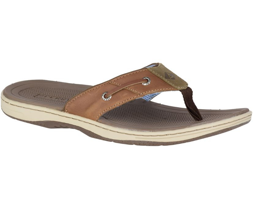 sperry mens slides