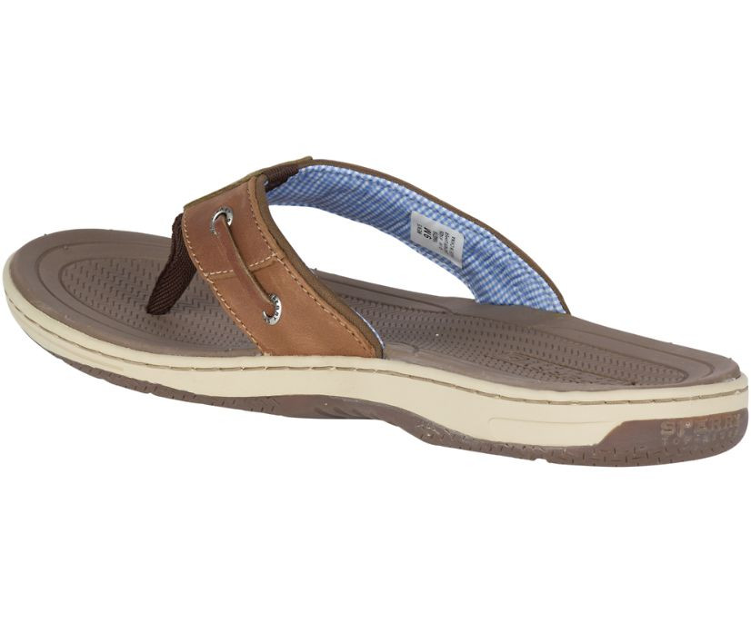Sperry Mens Baitfish Flip-Flops Tan