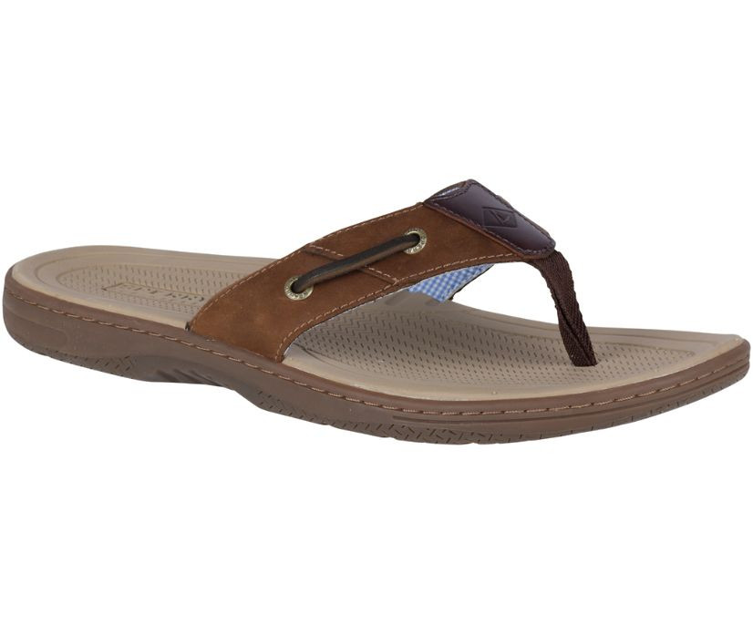 Sperry Mens Baitfish Flip-Flops Brown