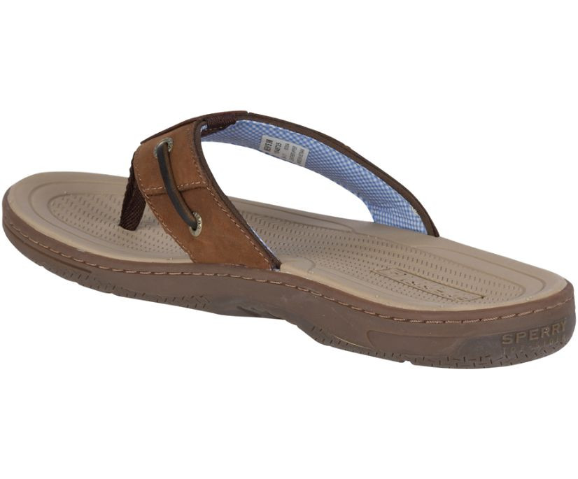 Sperry Mens Baitfish Flip-Flops Brown