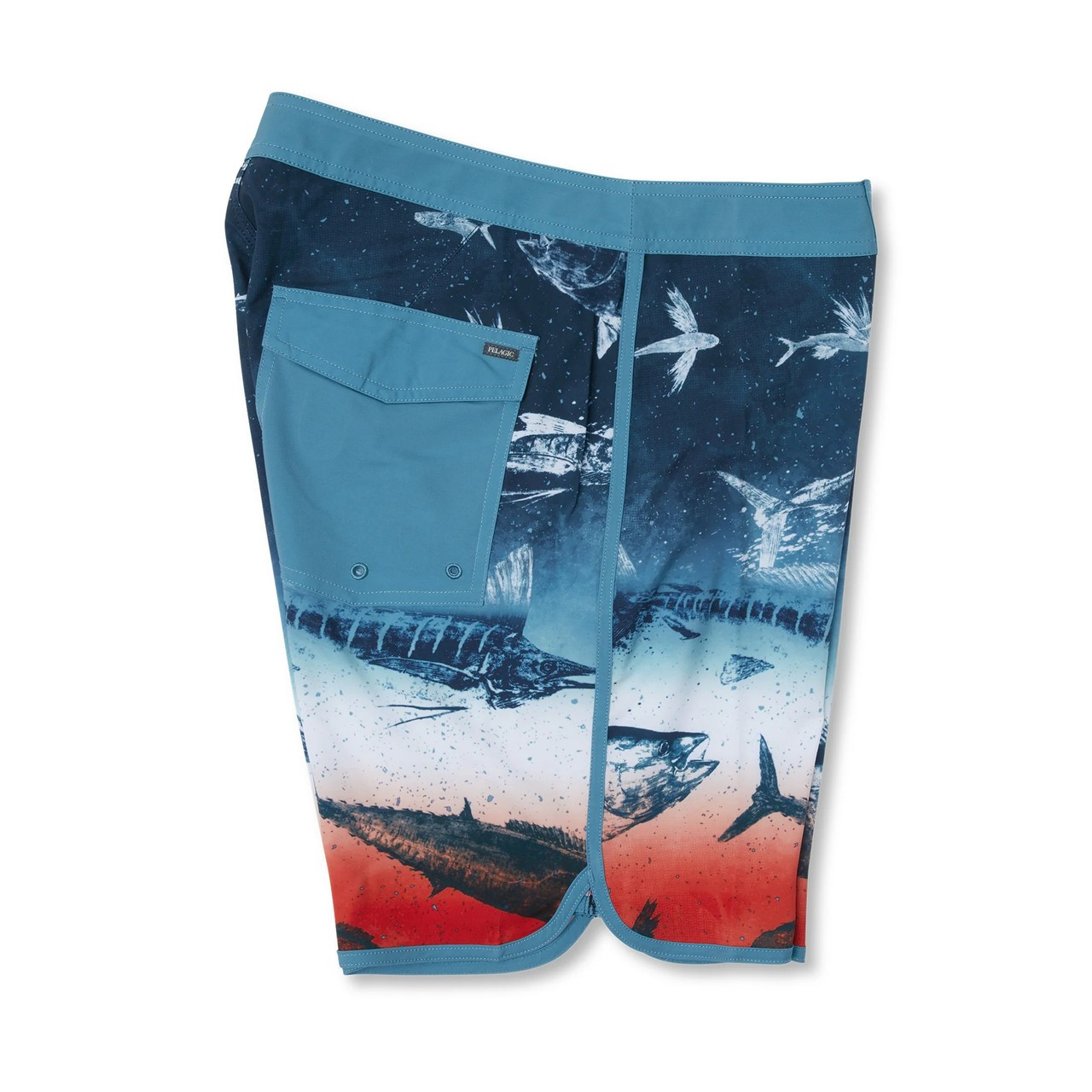3001242002 Pelagic Youth High Spot Gyotaku Boardshort II
