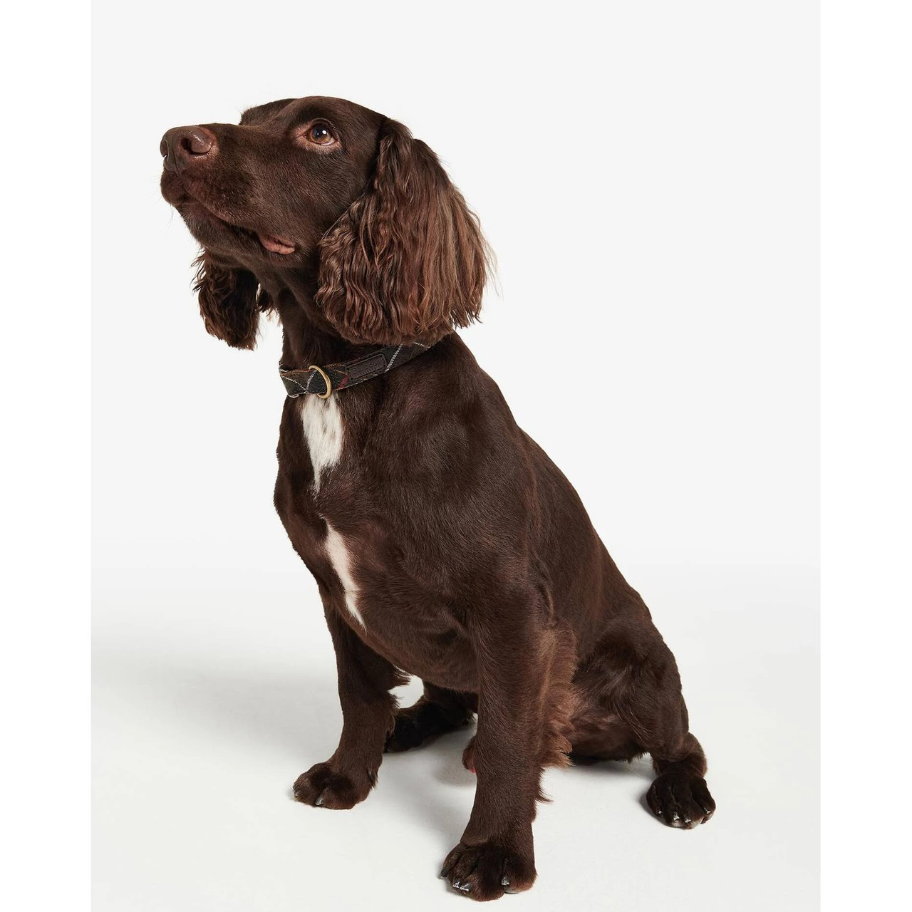 DAC0005TN11 Barbour Tartan/Webbing Dog Collar