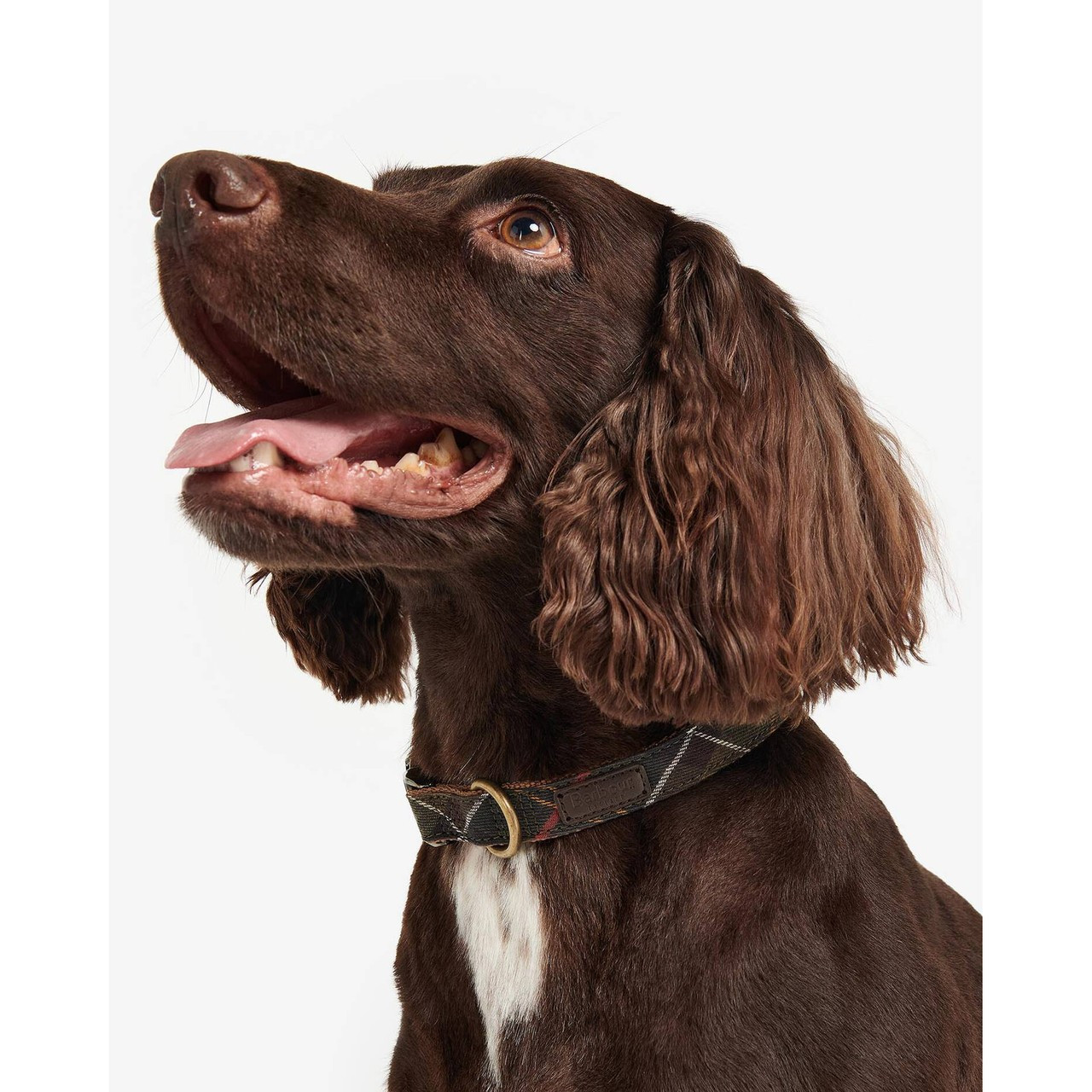 DAC0005TN11 Barbour Tartan/Webbing Dog Collar